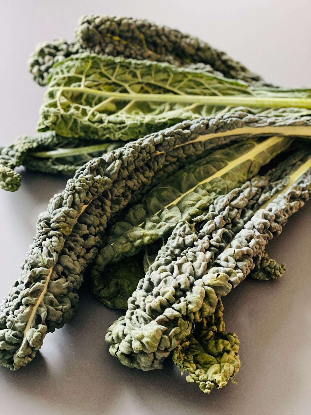 Cavolo Nero Lacinato kale leaves, dark and crinkled